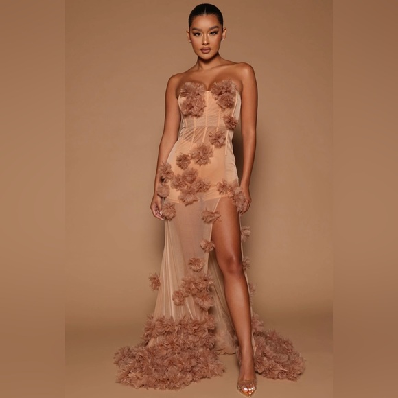 NOVALUXE Dresses & Skirts - NWT FASHION NOVA NOVALUXE Josefine Nude Sheer Mesh Maxi Dress Gown XL X-Large